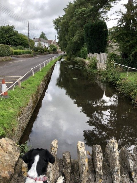 view of the River Somer in Chilcompton, Somerset 