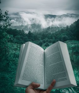 Someone reading a book on a mountain